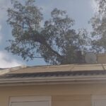 WhatsApp Image 2025-04-22 at 10.39.04 (1)